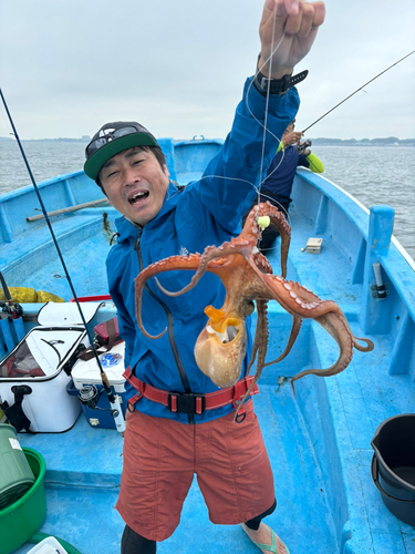 マダコの釣果