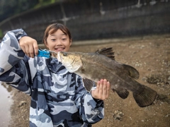 アカメの釣果