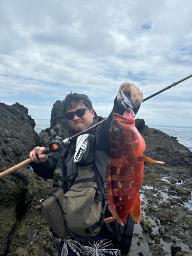 アカハタの釣果