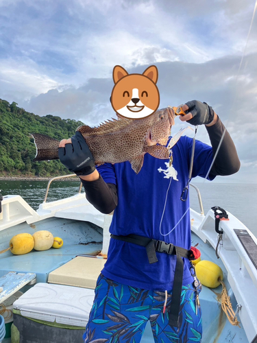 オオモンハタの釣果