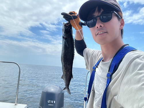 クロシビカマスの釣果