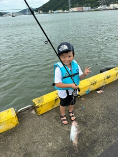 チャリコの釣果