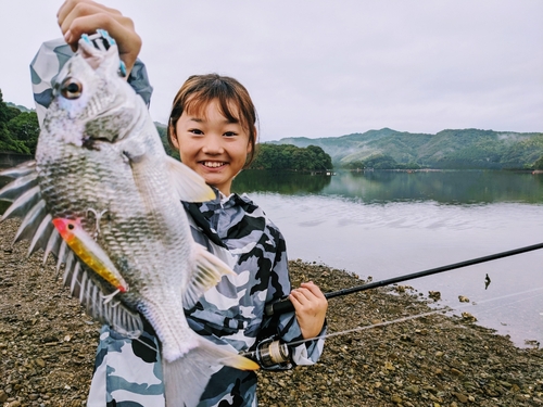 キビレの釣果