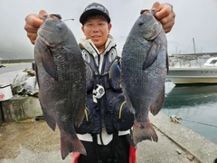 クチブトグレの釣果