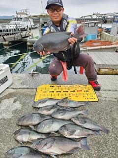 クチブトグレの釣果