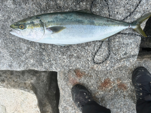 田ノ浦ビーチ