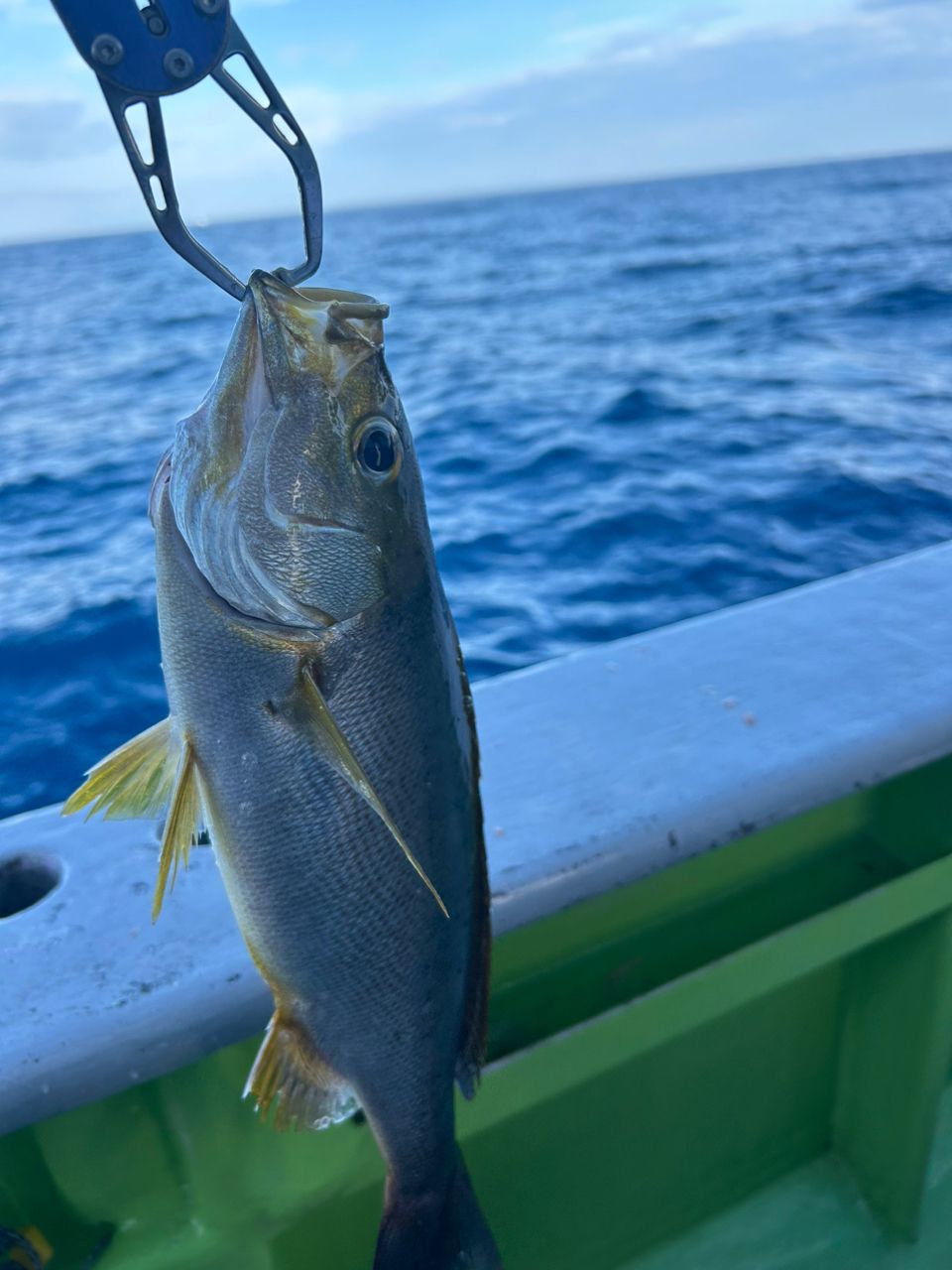 気まぐれ釣りニキさんの釣果 2枚目の画像