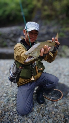 イワナの釣果