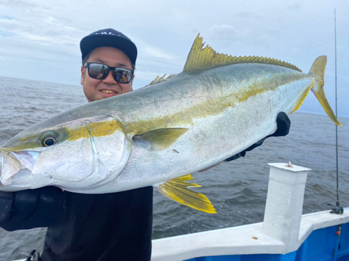 ヒラマサの釣果