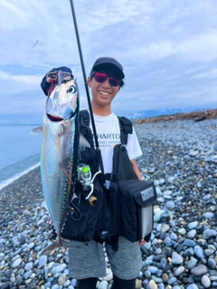 ソウダガツオの釣果