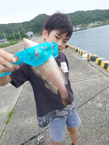 オオモンハタの釣果