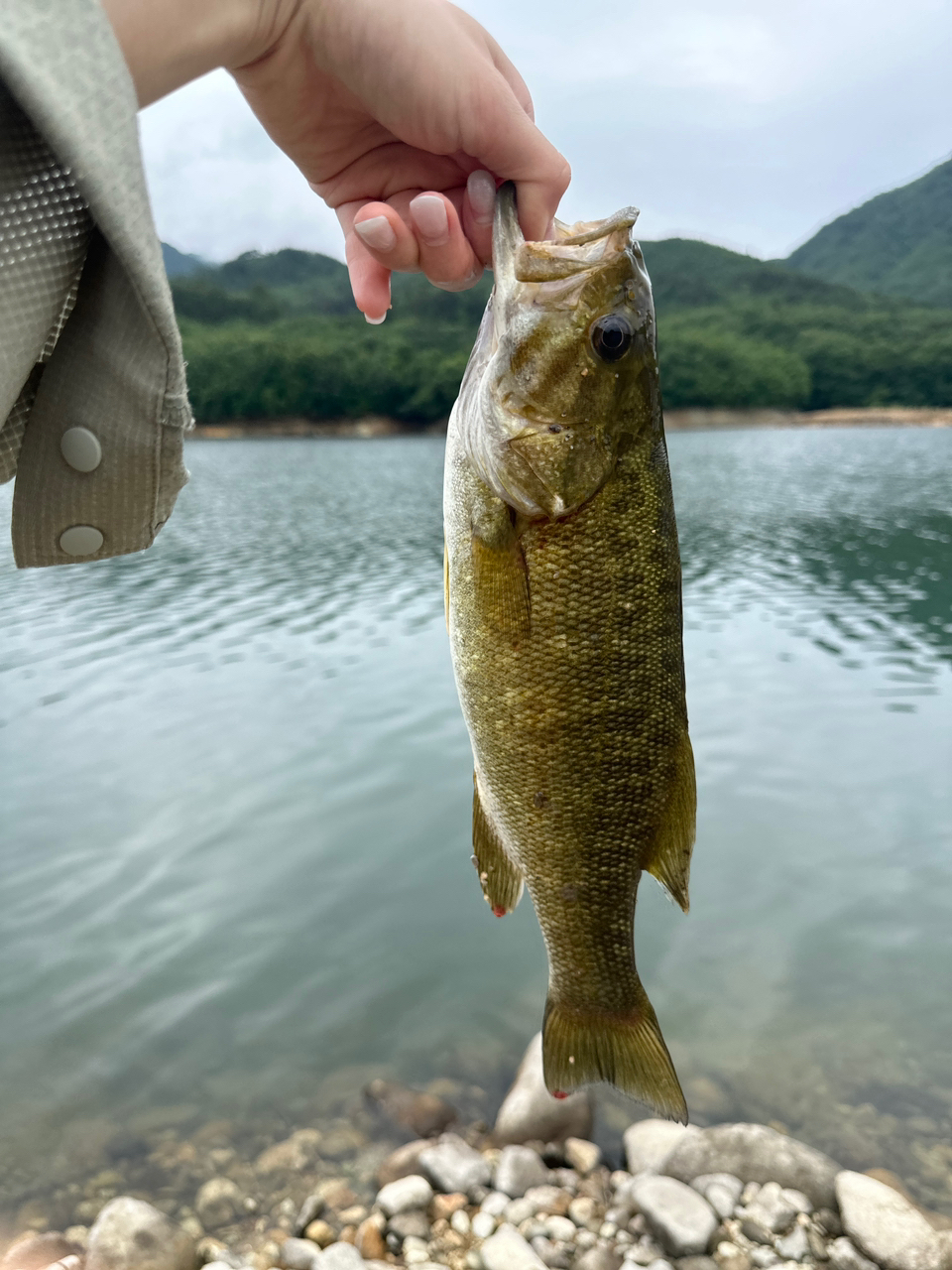 スモールマウスバス