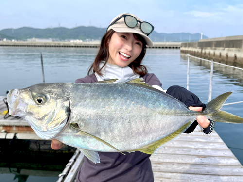 シマアジの釣果