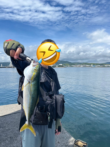 ツバスの釣果