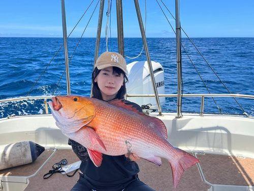 バラフエダイの釣果