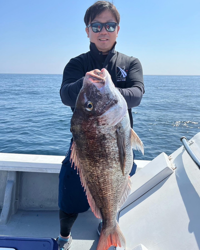 タイの釣果