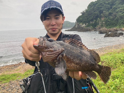 ムラソイの釣果