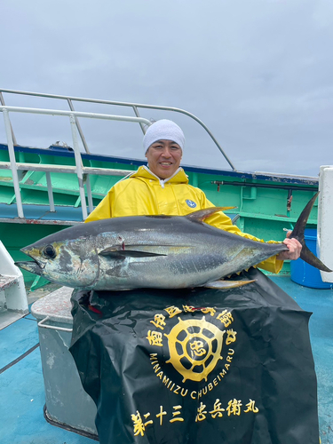 キハダマグロの釣果