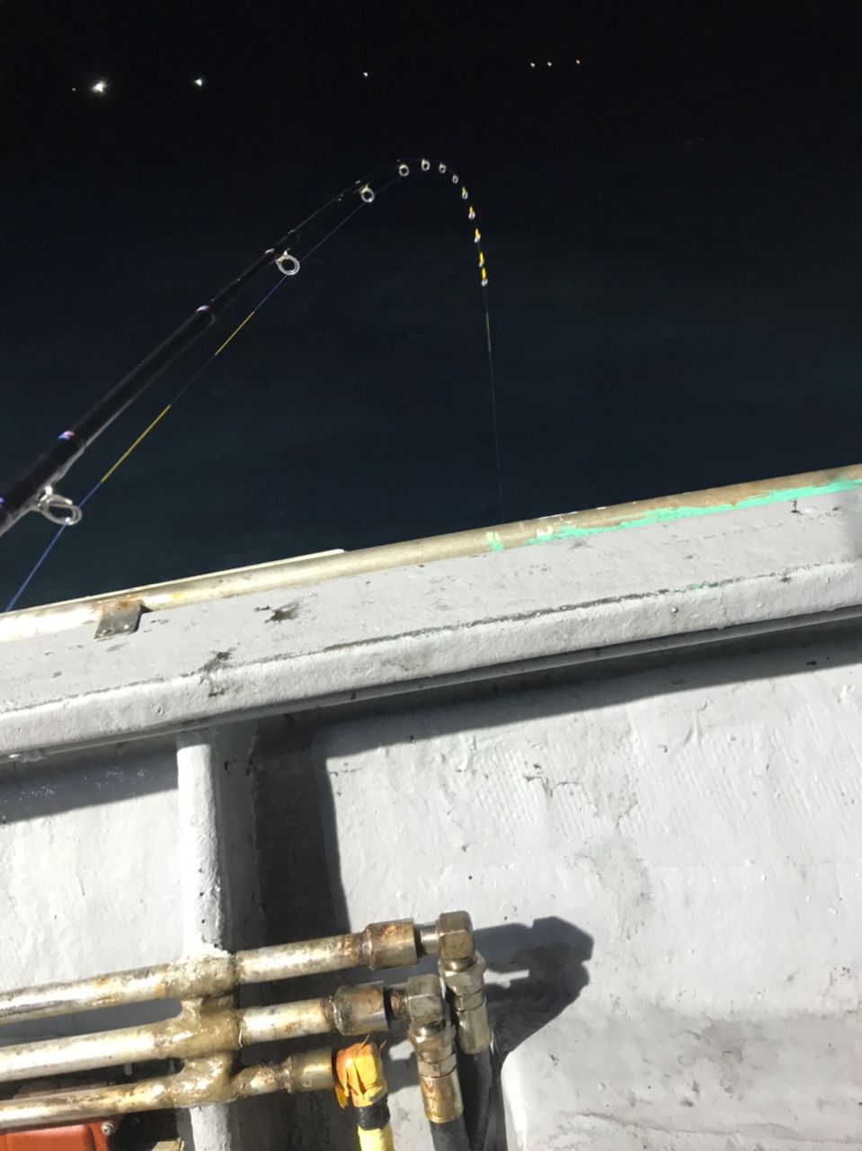 ポアッソンさんの釣果 2枚目の画像