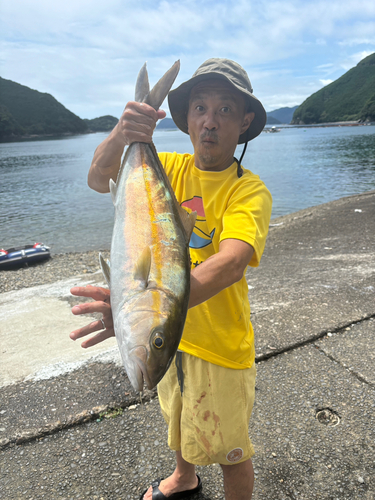 カンパチの釣果