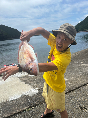 タイの釣果