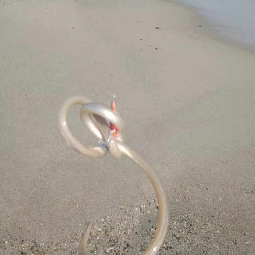 ダイナンウミヘビの釣果