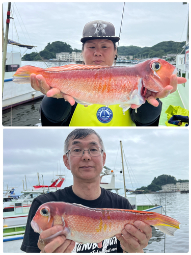 アマダイの釣果