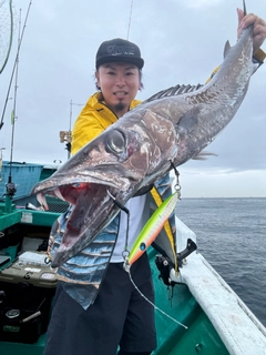 クロシビカマスの釣果