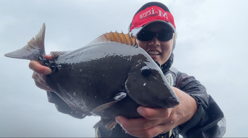 サンノジの釣果