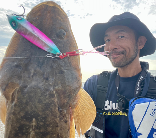 マゴチの釣果