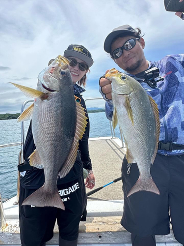 イサキの釣果