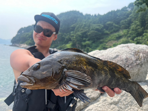 アイナメの釣果