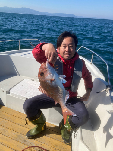 マダイの釣果