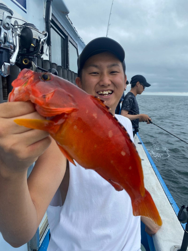 アカハタの釣果