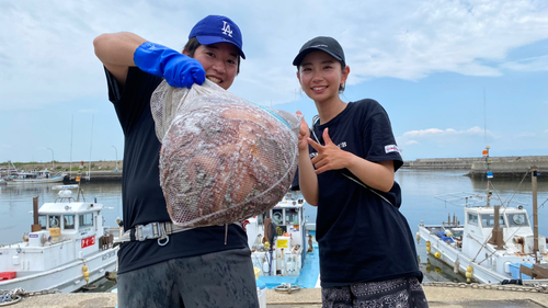 マダコの釣果