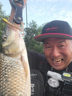 ニゴイの釣果