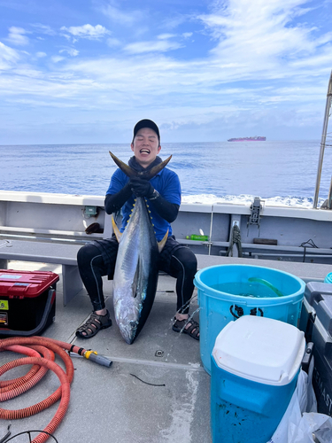 キハダマグロの釣果