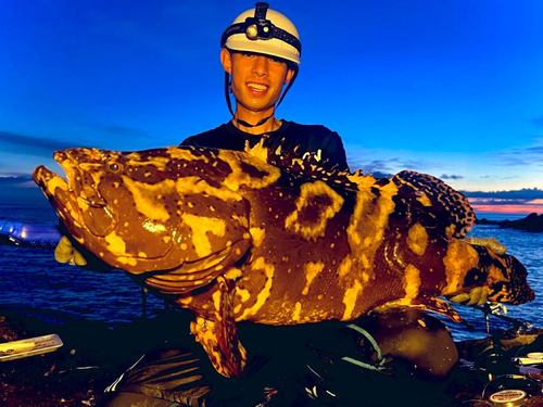 タマカイの釣果