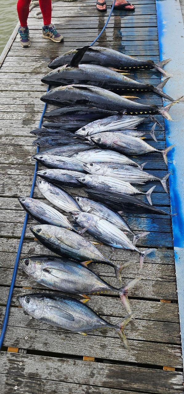 遊漁船ハンターさんの釣果 2枚目の画像