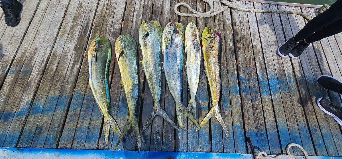 遊漁船ハンターさんの釣果 2枚目の画像