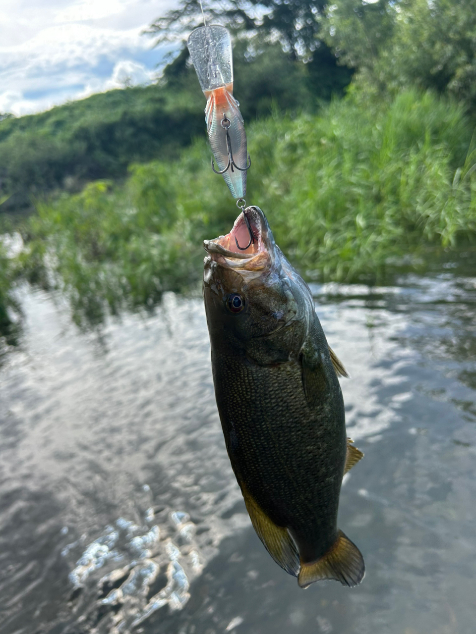 スモールマウスバス