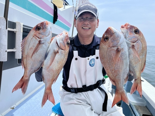 マダイの釣果