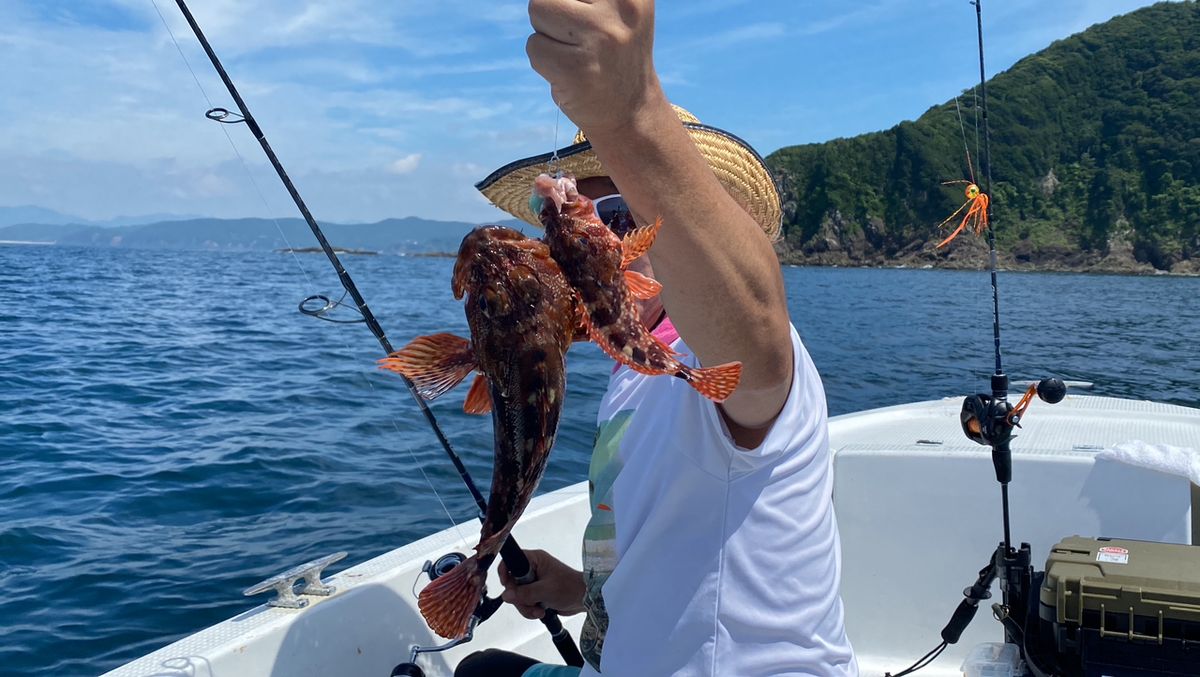 ちょい投げJAPAN おのぱんさんの釣果 1枚目の画像