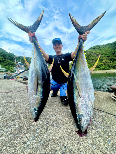 キハダマグロの釣果