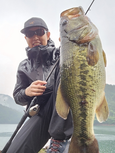 ブラックバスの釣果