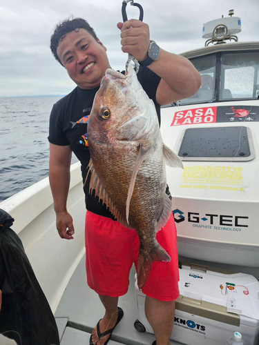 タイの釣果