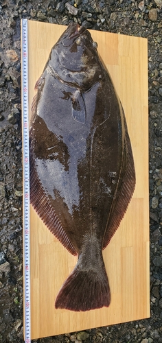 釣果