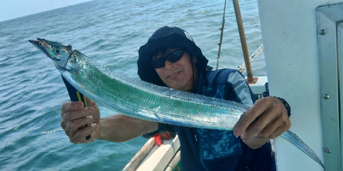 タチウオの釣果