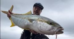 ヒラマサの釣果