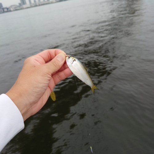 芝浦南ふ頭公園